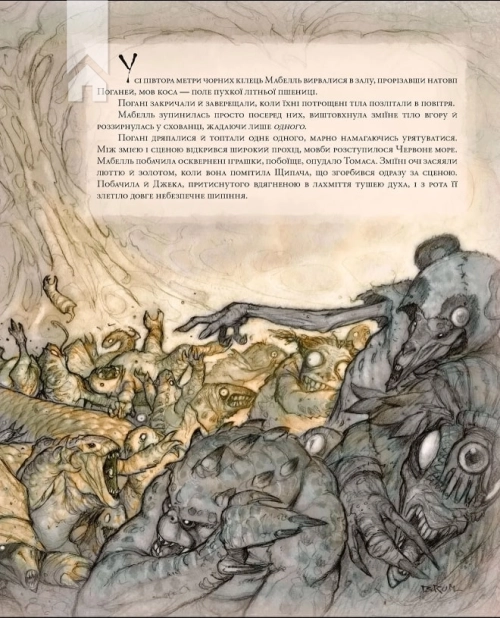 Щипач - фото 2 Щипач - фото 2