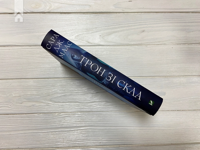 Трон зі скла. Книга 1 - фото 6