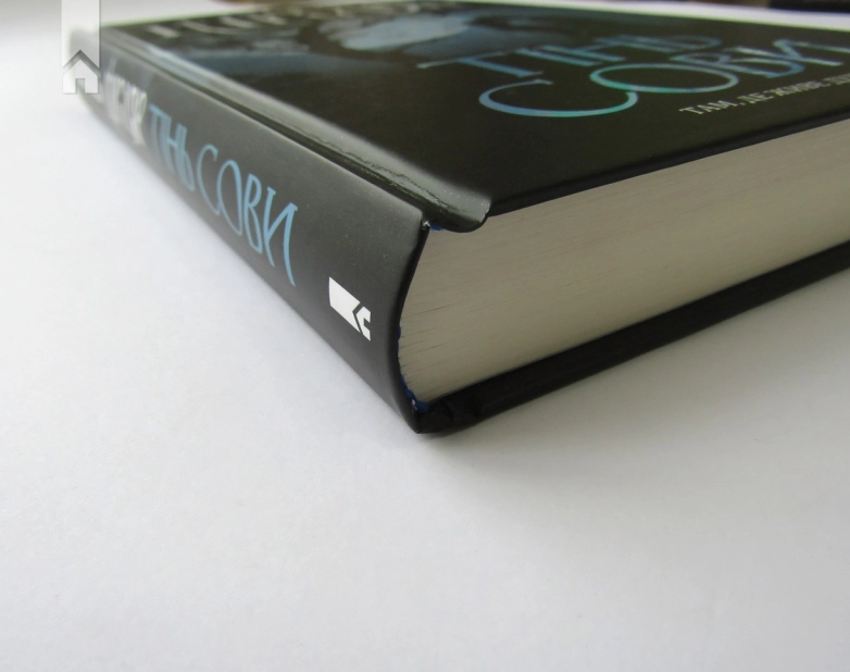 Тінь сови - фото 6