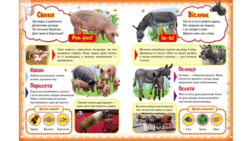 Про свійських тварин - фото 2