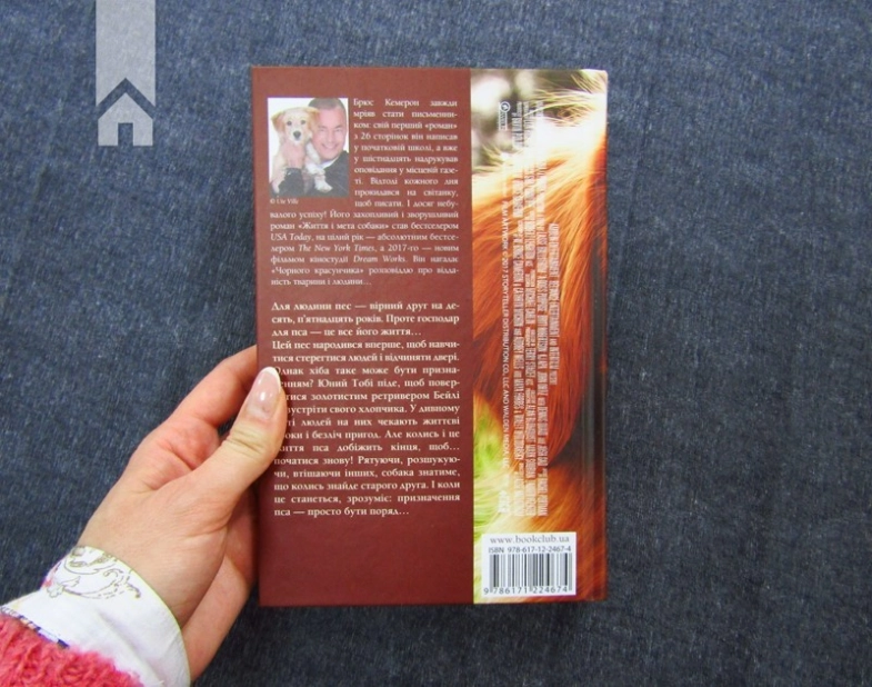 Життя і мета собаки - фото 4