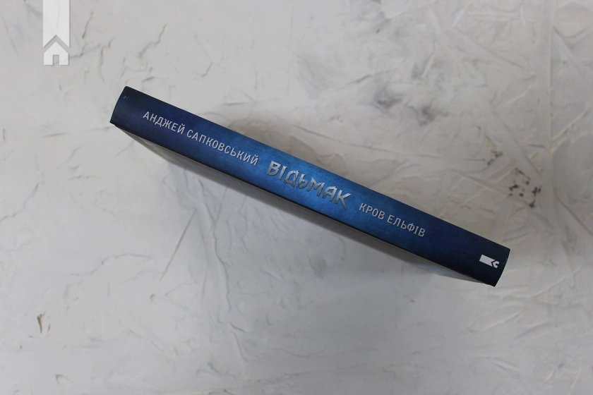 Відьмак. Кров ельфів. Книга 3 - фото 5