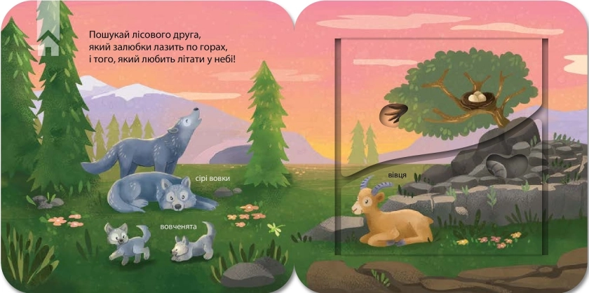 Хто живе у лісі? Зазирни у віконечко - фото 5 Хто живе у лісі? Зазирни у віконечко - фото 5