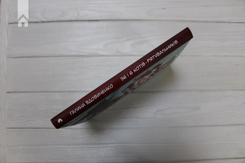 36 і 6 котів-рятувальників - фото 8