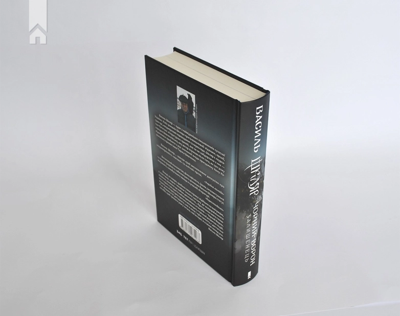 Чорний ворон. Залишенець (кінообкладинка) - фото 9