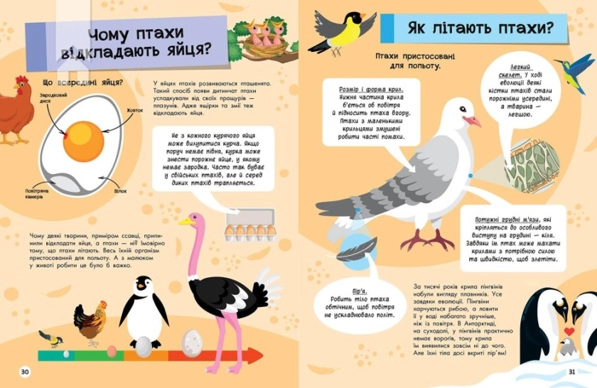 Велика енциклопедія для чомусика - фото 5 Велика енциклопедія для чомусика - фото 5