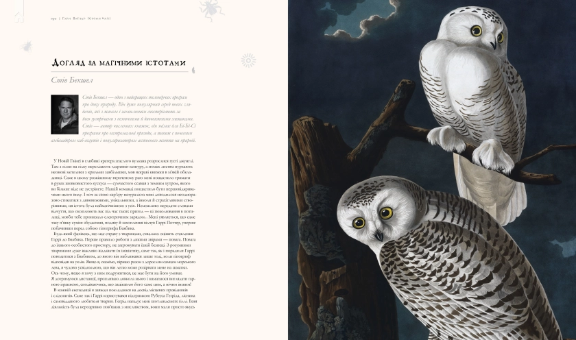 Гаррі Поттер. Історія магії - фото 2