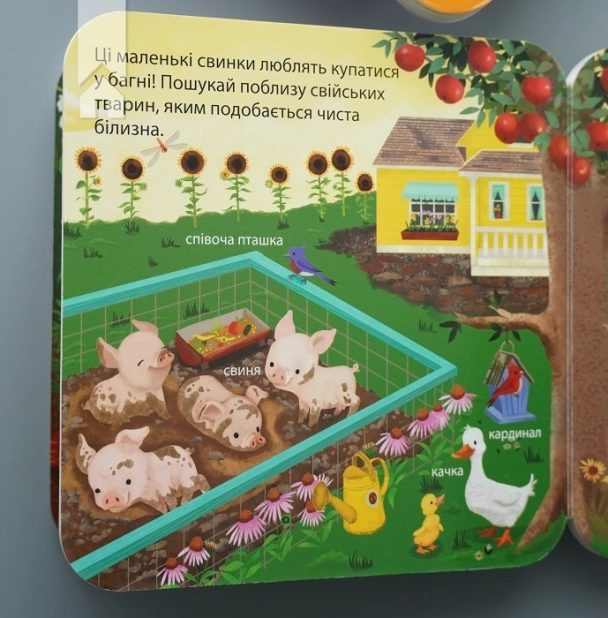 Хто живе на фермі? Зазирни у віконечко - фото 4 Хто живе на фермі? Зазирни у віконечко - фото 4