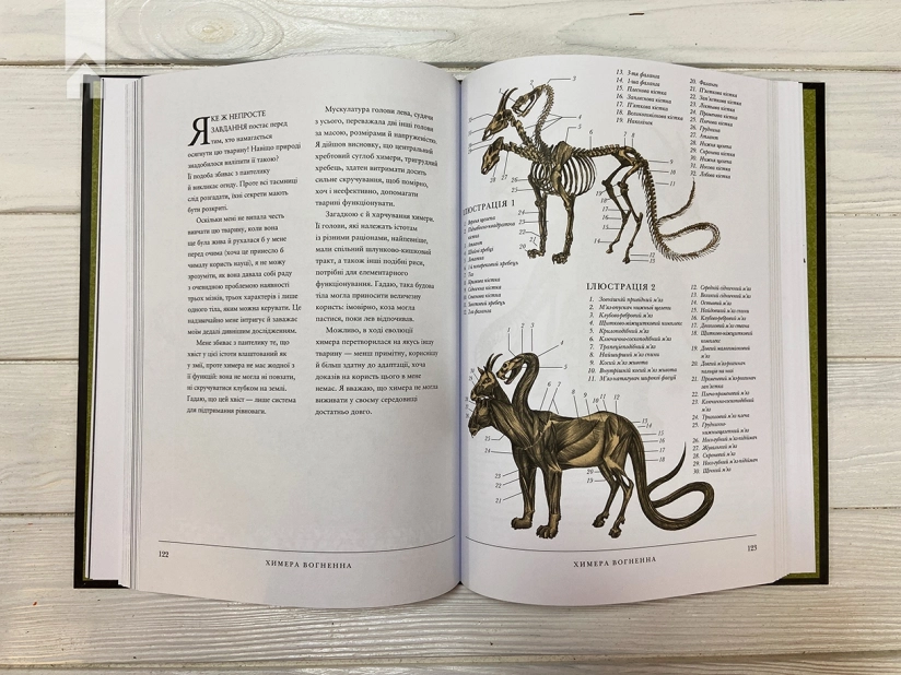 Воскреситель: Анатомія фантастичних істот - фото 6