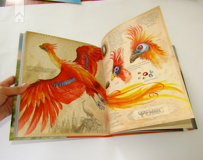 Гаррі Поттер і таємна кімната. Книга 2 - фото 9 Гаррі Поттер і таємна кімната. Книга 2 - фото 9