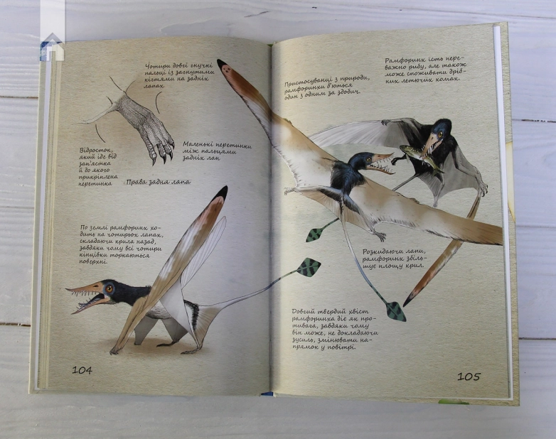 Юрський період: Динозаври та інші давні тварини - фото 8 Юрський період: Динозаври та інші давні тварини - фото 8