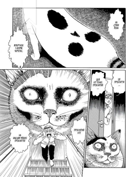 Котячий щоденник Джюнджі Іто: Йон та Му - фото 2 Котячий щоденник Джюнджі Іто: Йон та Му - фото 2