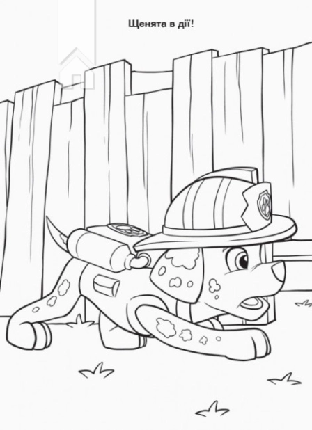 Щенячий Патруль. Пригодницькі розмальовки. Торт-тастрофа - фото 4 Щенячий Патруль. Пригодницькі розмальовки. Торт-тастрофа - фото 4