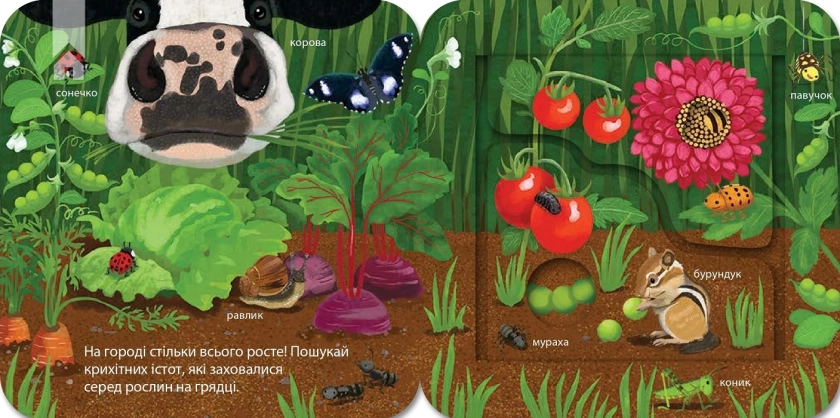 Хто живе на фермі? Зазирни у віконечко - фото 5 Хто живе на фермі? Зазирни у віконечко - фото 5