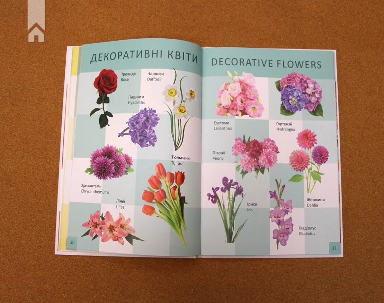 Перша книга малюка - фото 5