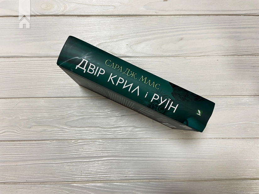 Двір крил і руїн. Книга 3 - фото 6