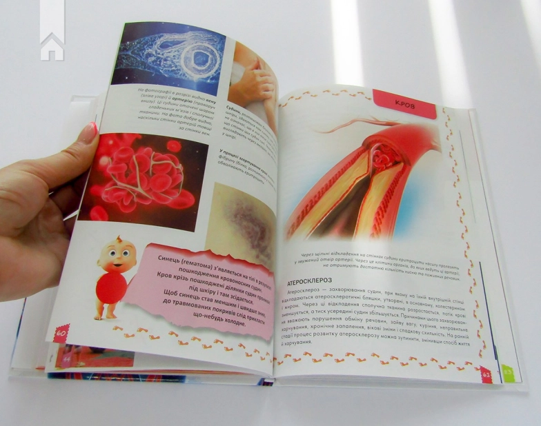 Про тіло людини - фото 6