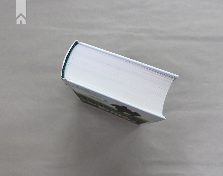 Убивчий білий. Книга 4 - фото 6 Убивчий білий. Книга 4 - фото 6