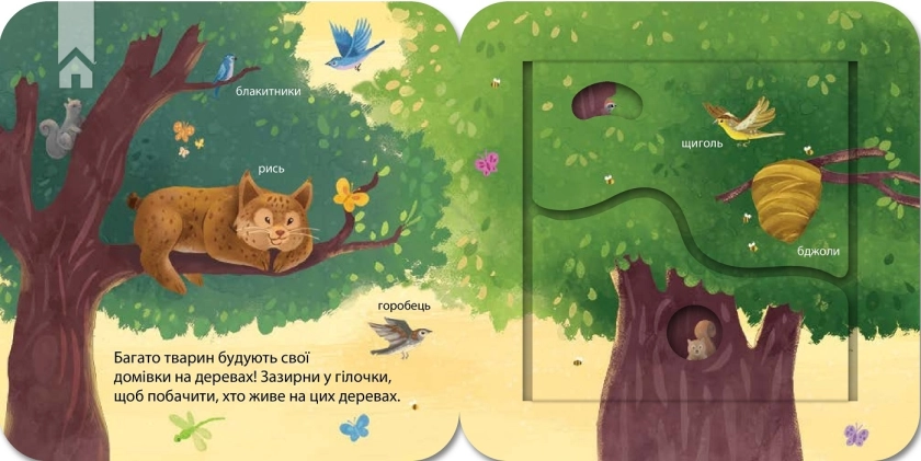 Хто живе у лісі? Зазирни у віконечко - фото 6