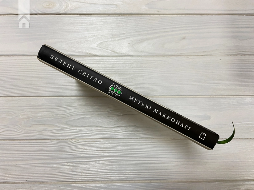 Зелене світло - фото 11