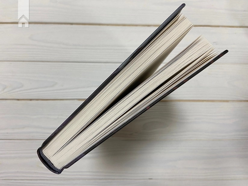 Пів короля. Книга 1 - фото 12