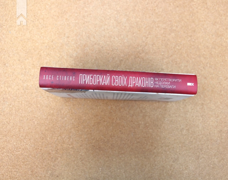 Приборкай своїх драконів. Як перетворити недоліки на переваги - фото 6 Приборкай своїх драконів. Як перетворити недоліки на переваги - фото 6