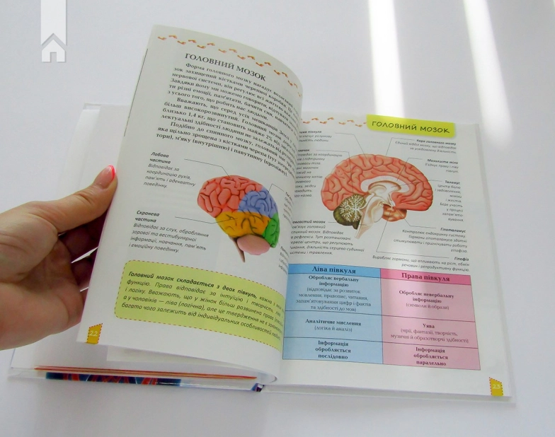 Про тіло людини - фото 5