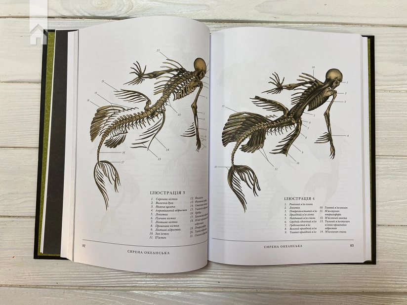 Воскреситель: Анатомія фантастичних істот - фото 4