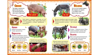 Про свійських тварин - фото 2 Про свійських тварин - фото 2