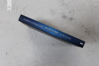 Відьмак. Кров ельфів. Книга 3 - фото 5