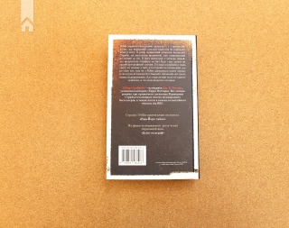 Кар’єра лиходія. Книга 3 - фото 4