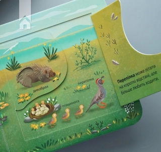 Хто живе у лісі? Зазирни у віконечко - фото 4