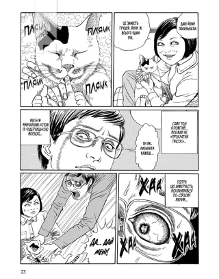 Котячий щоденник Джюнджі Іто: Йон та Му - фото 3