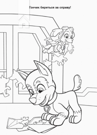 Щенячий Патруль. Пригодницькі розмальовки. День Дружби - фото 2