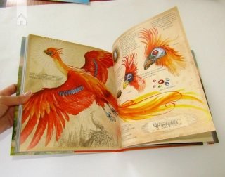 Гаррі Поттер і таємна кімната. Книга 2 - фото 9 Гаррі Поттер і таємна кімната. Книга 2 - фото 9