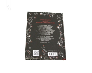 Зільбер. Перша книга сновидінь - фото 6