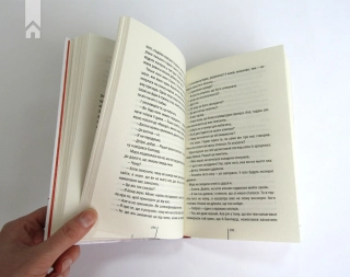 Двійник. Книга 4 - фото 5