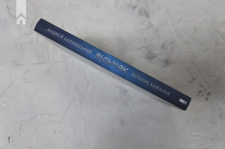 Відьмак. Останнє бажання. Книга 1 - фото 7