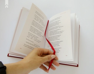 Маруся Чурай - фото 12