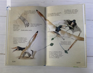 Юрський період: Динозаври та інші давні тварини - фото 8 Юрський період: Динозаври та інші давні тварини - фото 8