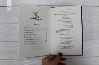 Мопс, який хотів стати гарбузиком. Книга 4 - фото 5