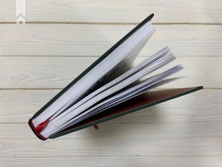 Дім Ґуччі: сенсаційна історія вбивства, божевілля, гламуру та жадібності - фото 12