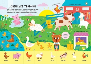 Головна книга малюка. Книга найважливіших знань - фото 5 Головна книга малюка. Книга найважливіших знань - фото 5