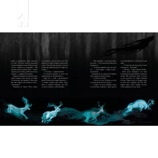 Гаррі Поттер і в’язень Азкабану. Книга 3 Велике ілюстроване видання - фото 3 Гаррі Поттер і в’язень Азкабану. Книга 3 Велике ілюстроване видання - фото 3