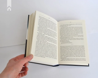 Чорний ворон. Залишенець (кінообкладинка) - фото 7