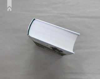 Убивчий білий. Книга 4 - фото 6 Убивчий білий. Книга 4 - фото 6