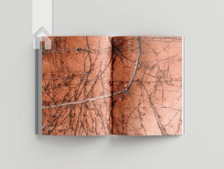 Скрипниківка - фото 3