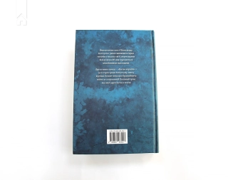 Битва королів. Книга 2 - фото 8