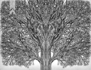 Школа Добра і Зла. Єдиний Істинний король. Книга 6 - фото 2