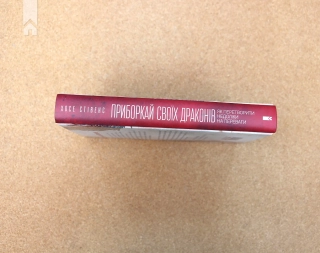 Приборкай своїх драконів. Як перетворити недоліки на переваги - фото 6 Приборкай своїх драконів. Як перетворити недоліки на переваги - фото 6